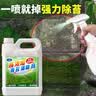 Lvbai青苔清除剂水泥地面专用青苔克星墙面苔藓藻类清洁2.6KG 实拍图