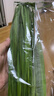 【安心菜】 韭菜250g 实拍图