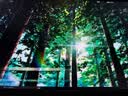 飞利浦EVNIA弈威 27英寸4K240Hz/FHD480双模 色准＜1 FastIPS硬件低蓝光 HDR DP2.1电竞显示器27M2N5800P 实拍图