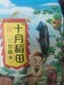 十月稻田 三色糙米 2斤 五谷杂粮米 粗粮饭主食 新米 糙米粥 黑米 红米 实拍图