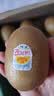 佳沛（zespri）新西兰金奇异果12粒特大果124-146g猕猴桃中秋节礼品送水果礼盒 实拍图