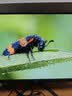 AOC 27英寸4K165Hz Gen.3五层堆叠QD-OLED 第五代BlackAGLR涂层 抗反射抗眩光更黑 电竞显示器U27G4D 实拍图