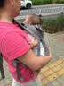 萌娃新宠婴儿背带前后两用前抱式夏季背宝宝外出简易抱娃轻便初生背娃神器 JD冰丝灰（收纳袋/遮阳帽） 实拍图