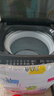 小天鹅（LittleSwan）波轮洗衣机小型全自动家用 10KG TB10V28T 一级能效 除菌螨 以旧换新 京东自营 出租房宿舍 实拍图