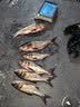 光威夕雾投2.4米海钓竿抛竿甩杆超硬超硬调钓抛投鱼竿海竿 实拍图