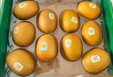 佳沛（zespri）新西兰阳光金果10个装单果重约103-114g 水果礼盒 猕猴桃 实拍图