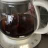 小熊（Bear）煮茶壶喷淋式煮茶器 小型一人蒸茶壶养生壶 迷你养生烧水壶 1升 ZCQ-H10D1 实拍图
