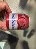 百威啤酒mini红罐淡色拉格255ml*24小罐整箱装京东自营喜酒 实拍图