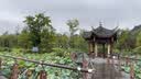 洁丽雅（Grace）A类单凉席冰豆豆凉席夏季空调软席双人家用可水洗1.8*2M 小熊绿 实拍图