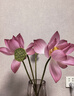 兰蔻超修小黑瓶精华50ml护肤品化妆品套装礼盒生日七夕情人节礼物女友 实拍图
