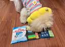 皇家狗粮 幼犬狗粮 宠物 小型犬 MIJ31 全价犬粮 2-10月 2KG 实拍图
