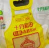 十月稻田 有机赤峰小米 5斤 内蒙古敖汉 小米黄小米 有机小米 早餐粥 实拍图