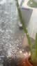 松宝（sobo）鱼缸过滤器三合一循环过滤增氧系统内置净水小型水族箱水泵 6W 实拍图