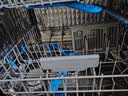 老板（Robam）【独立下层洗】盐系G3 106升15套大容量灶下可装 嵌入式洗碗机家用全自动七星级消毒一体W60A-G3 实拍图