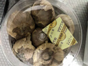 姜老大新鲜独头黑蒜500g 山东特产即食网红黑蒜深度发酵罐装下饭 实拍图