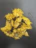 福东海特级有机金丝皇菊花茶【约110大朵】安徽黄山护肝去花草火黄菊 实拍图