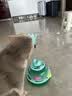 欢宠网猫玩具猫咪转盘逗猫棒羽毛自嗨神器解闷球猫抓板猫猫幼猫小猫宠物 实拍图