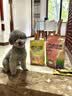 疯狂小狗狗粮柯基金毛中大小型犬幼犬成犬粮通用 牛肉三拼粮2.5kg5斤 实拍图