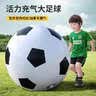 TaTanice户外玩具充气大足球幼儿园专用世界杯巨型皮球儿童男女孩生日礼物 实拍图