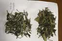 品品香福鼎白茶 简语2025年新茶寿眉3斤装大份量收藏口粮茶叶自己喝 【超值口粮】2025一级寿眉 1500g*1盒 3斤收藏装 实拍图