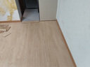 圣象强化复合木地板5级耐污ENF无醛级抗菌耐磨宠物推荐NPM2002E柠檬糖 实拍图