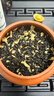 一杯香茶叶茉莉花茶飘雪横县浓香型特级250g2026新茶茉莉绿茶自己喝散装 实拍图