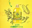 金龙鱼 食用油 非转基因 物理压榨玉米油6.18L（蕴含植物甾醇） 实拍图