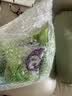 a2成人奶粉新西兰进口全脂奶粉学生中老年奶粉高蛋白1kg*2 实拍图