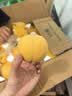 三萌果蔬正宗蒙阴黄桃【多地次日达】山东黄毛桃新鲜桃子端午节水果礼盒 5斤特级果【品质好果】净重4.5斤 实拍图