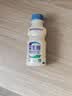 乳酸菌益生菌风味饮料乳酸菌饮品340ml/瓶早餐酸奶好喝 益生菌340ml*1瓶 实拍图