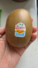佳沛（zespri）新西兰阳光金奇异果巨大果15粒礼盒 单果146-175g 猕猴桃水果礼盒 实拍图