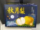 京地达秋月梨水果礼盒脆甜蜜梨江苏300g+净重4.8斤新鲜水果源头直发 实拍图