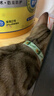 欢宠网猫咪驱虫项圈狗狗猫宠物狗猫圈除跳蚤猫猫幼猫小猫小狗体外去跳蚤 实拍图