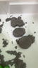 太空沙（SPACE SAND）彩虹沙玩具安全无毒魔力动力沙6斤室内套装玩具沙六一儿童节礼物 实拍图