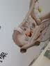 狂野骑士婴儿健身架玩具脚踏踩音乐安抚宝宝早教0-6个月新生儿礼盒见面礼 实拍图