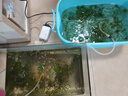 森森鱼缸增氧泵水族箱氧气泵LQE-50家用小型充氧泵3W单孔+全套配件 实拍图
