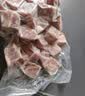 进口原切牛腩块1kg 实拍图
