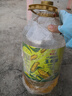 金龙鱼 食用油 非转基因 物理压榨玉米油6.18L（蕴含植物甾醇） 实拍图