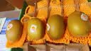 佳沛（zespri）金奇异果25粒原箱特大果134-146g猕猴桃中秋节礼品送水果礼盒 实拍图