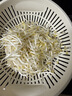 绿豆芽300g 实拍图