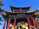 欣和味达美经典系列冰糖老抽1L【酿造酱油】红烧焖炖上色添加冰糖调色 实拍图