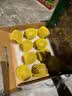 佳沛（zespri）新西兰阳光金奇异果10粒巨大果单果146-175g 猕猴桃水果礼盒 实拍图