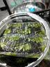 美好时光芝麻海苔脆72包共96克 非油炸脆海苔 儿童休闲零食礼物大量贩 实拍图