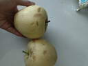 英氏婴幼儿小鱼泡芙牛奶味 婴儿零食儿童泡芙宝宝零食尝鲜16g 实拍图
