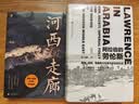 甲骨文丛书·阿拉伯的劳伦斯：战争、谎言、帝国愚行与现代中东的形成 陆大鹏译 精装32开 670页 中东史相关作品  实拍图