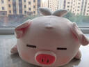 名创优品（MINISO）小猪B-BO翅膀款趴毛绒公仔玩具玩偶抱枕娃娃靠枕生日礼物女 实拍图