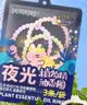 润本植物精油夜光香圈3条*2组合装森林+恐龙儿童成人发光手环户外便携 实拍图