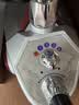 立挺（LITING）Q7全铜发热器 挂烫机商用服装店专用2000W大功率大蒸汽家用小型立式烫衣服熨烫机电熨斗力挺一挺 银白色 实拍图