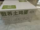 九華粮品散养土鸡蛋40枚 净重3斤  鲜鸡蛋 林区散养 京东自营 实拍图