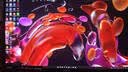 AOC爱攻 昊天Max 32英寸4K240Hz BlackAR3.0抗反 五层堆叠QD-OLED HDR500 DP2.1 电竞显示器AG326UZD2 实拍图